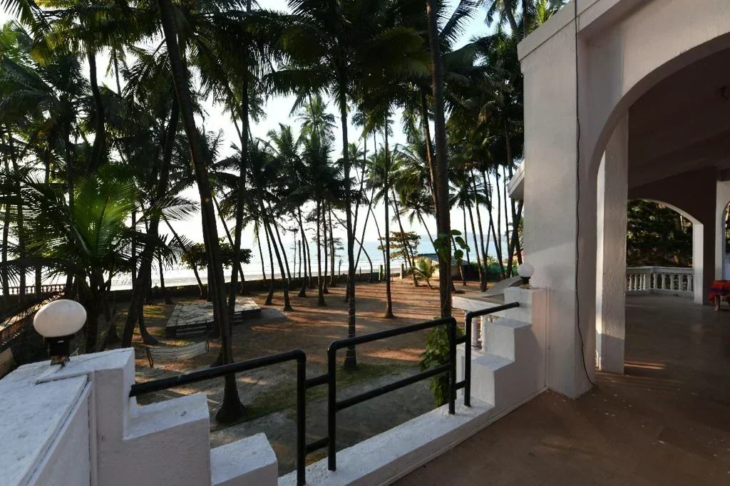 PALM BEACH PARADISE - Image 2