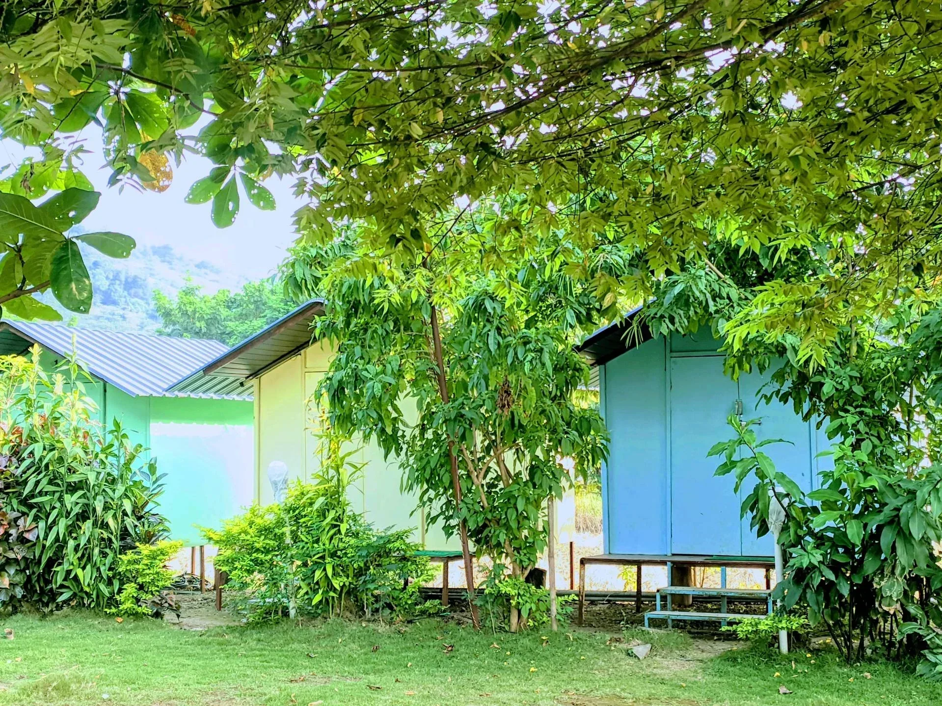 Pawna Lake Cottages - Image 2