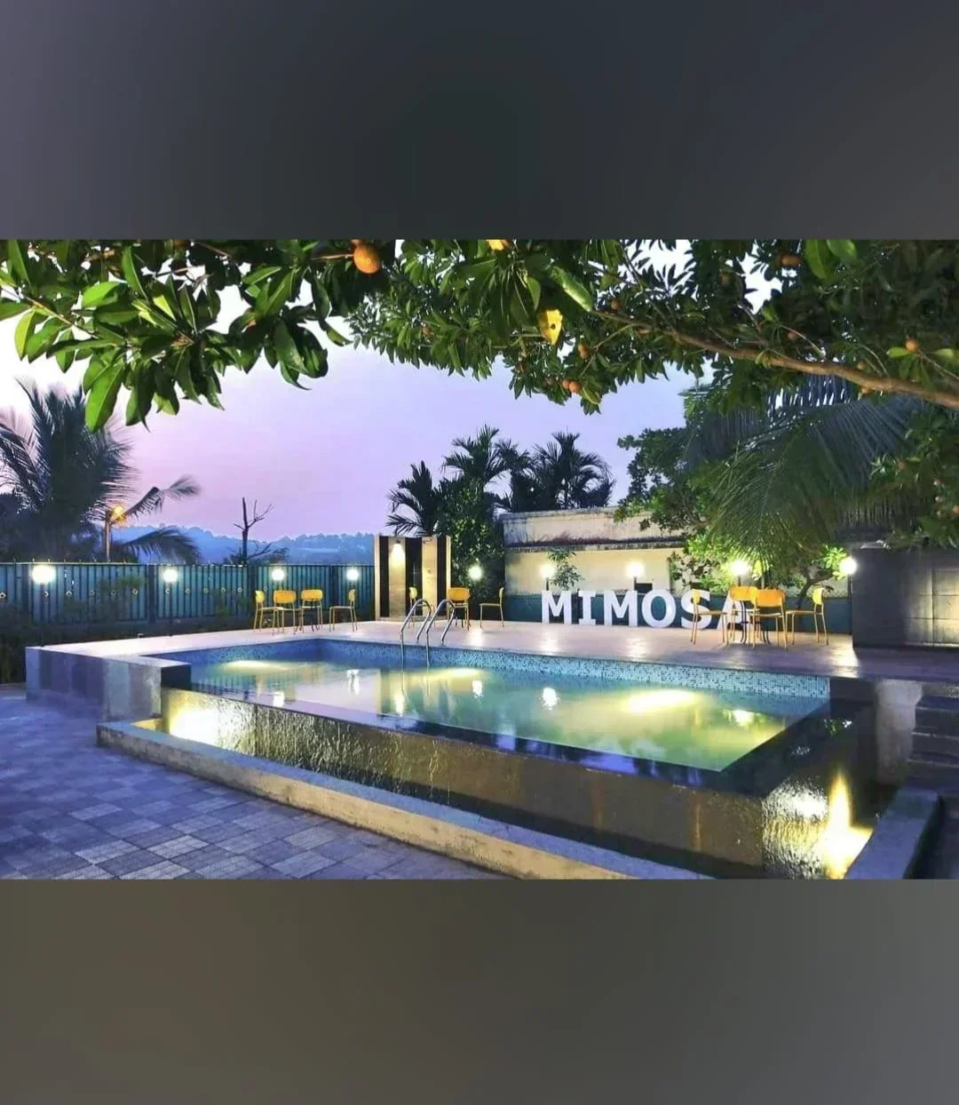 Mimosa villa with private pool and terrace - Image 2
