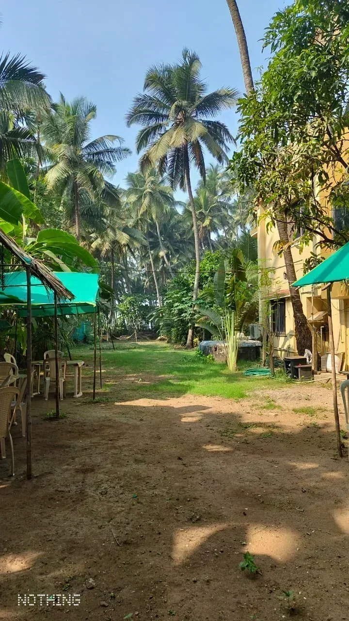 Mauli Cottage - Image 2