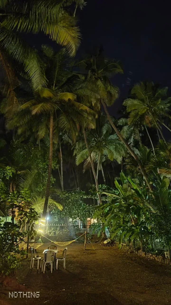 Mauli Cottage - Image 5