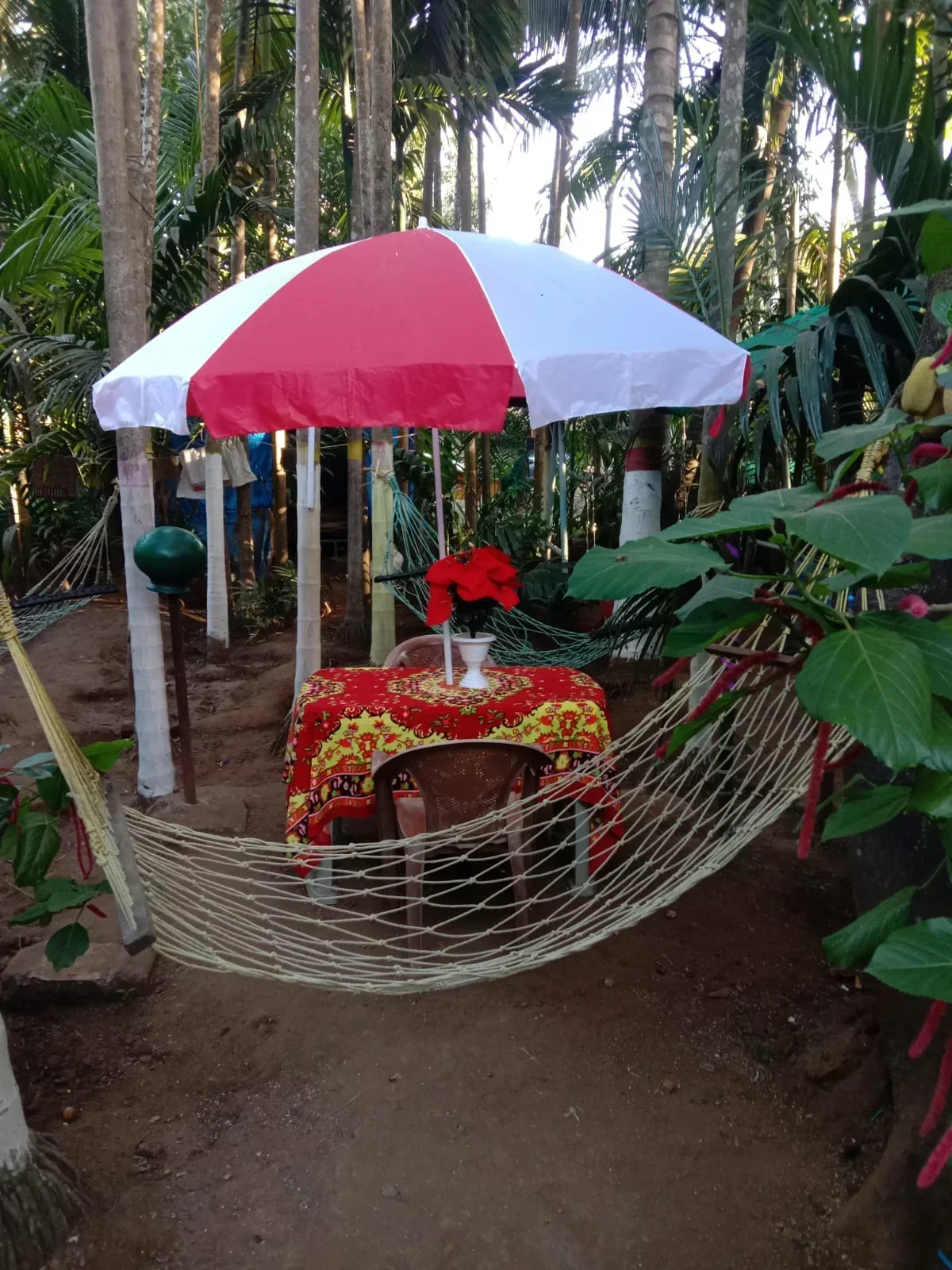 Ballaleshwar cottage in small room - Image 2