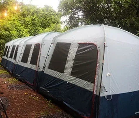 Campforest camping - Image 2