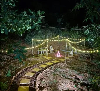Exotic stay - Image 5
