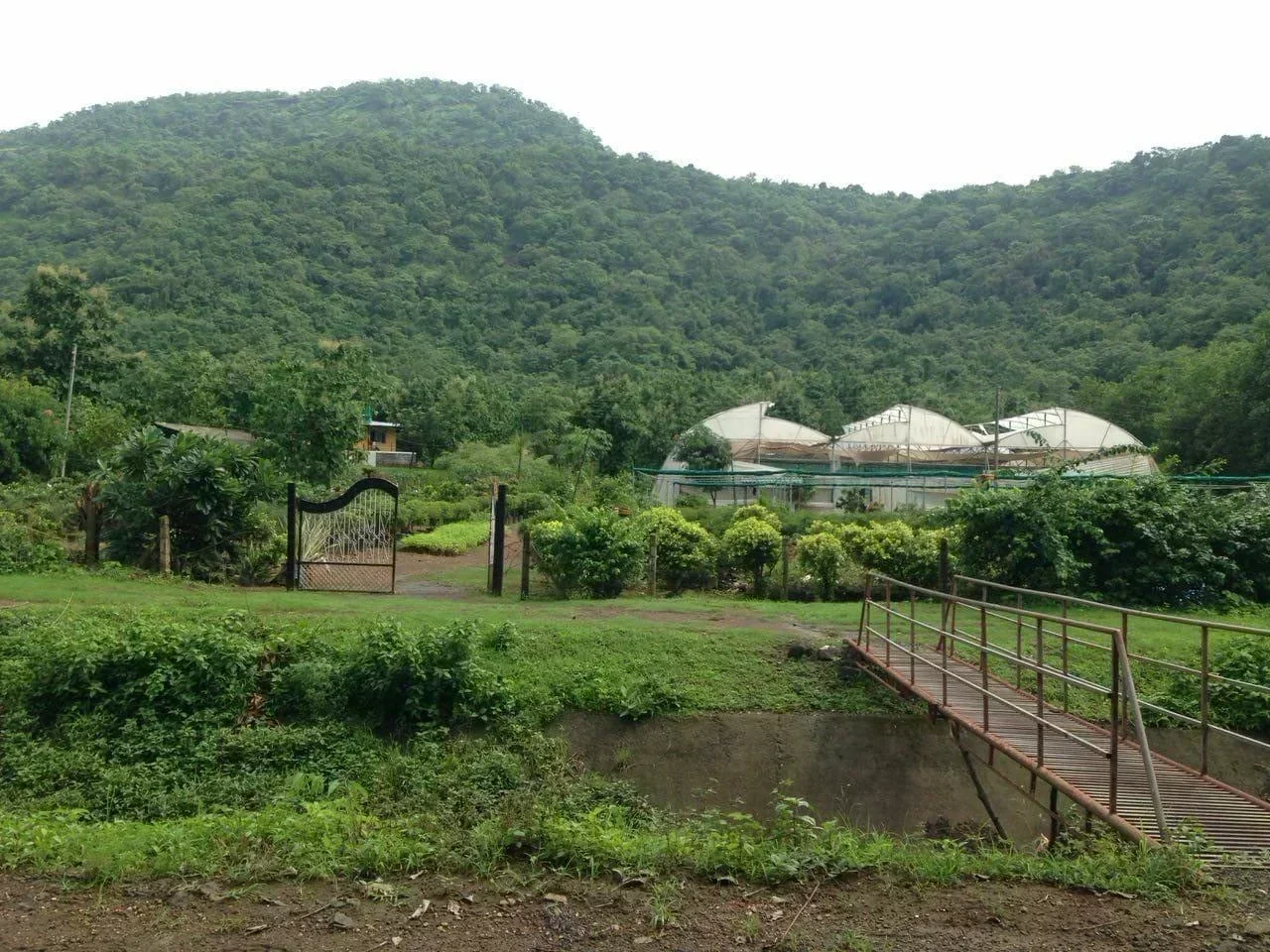 MADHURA FARMS - Image 4