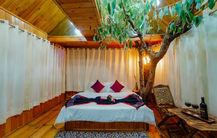 Himalayan Abode Tree House in Sainj Valley - Image 5
