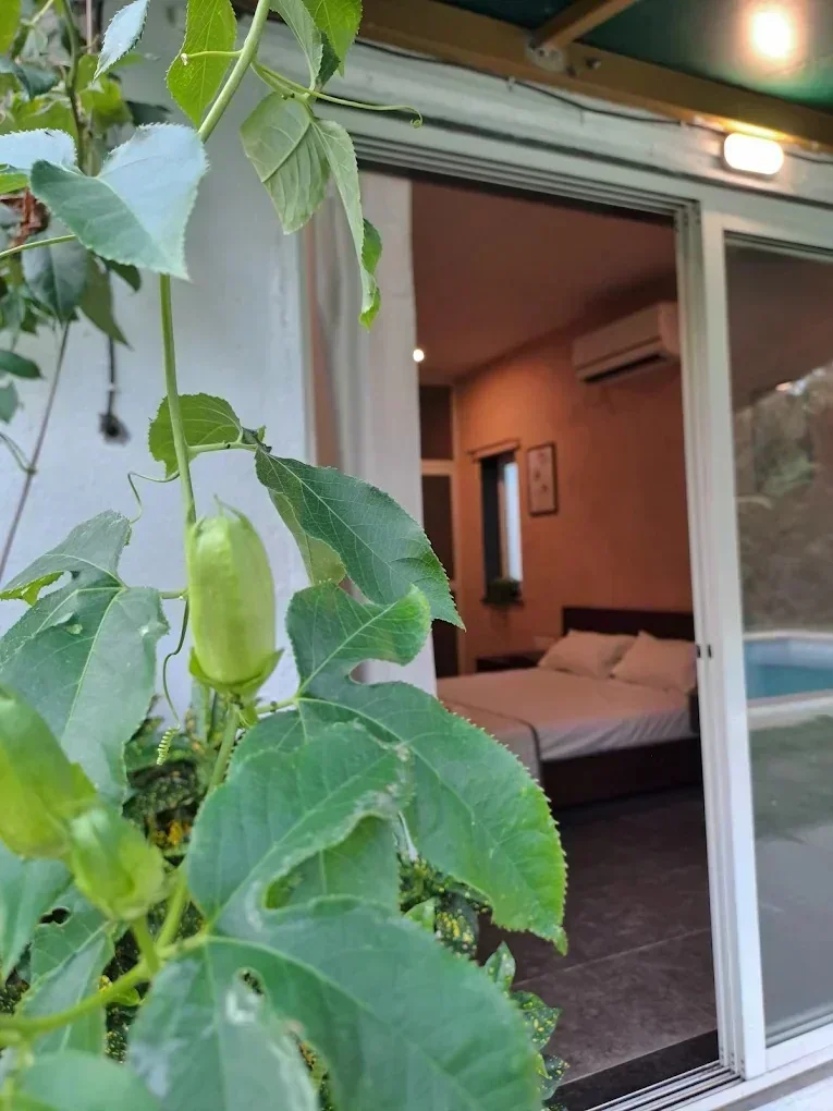 Pearl paradise Resort - Image 4