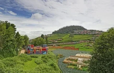 Rainbow Palace Cottage-Cozy 1 BHK Near Lovedale Junction – Ooty - Image 2