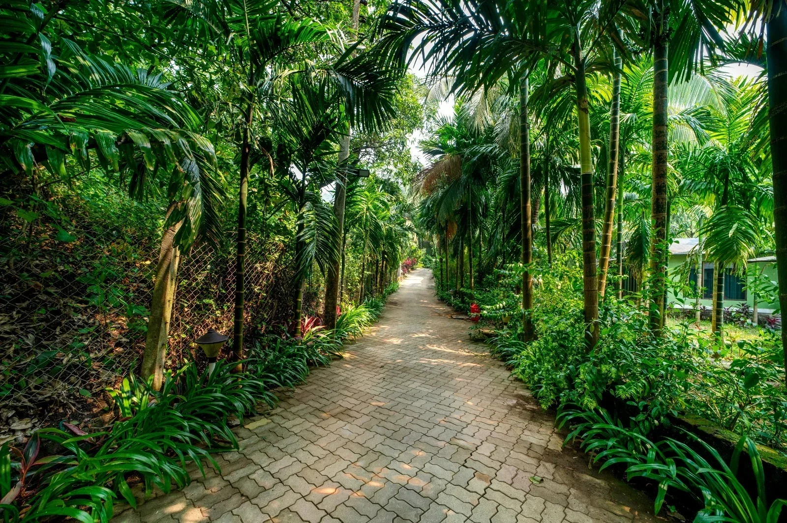 Silvanus forest retreat alibaug - Image 4