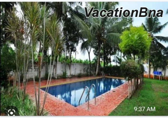 White orchid resort - Image 5